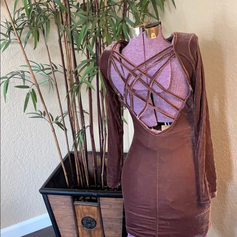 Mauve purple velvet body con dress